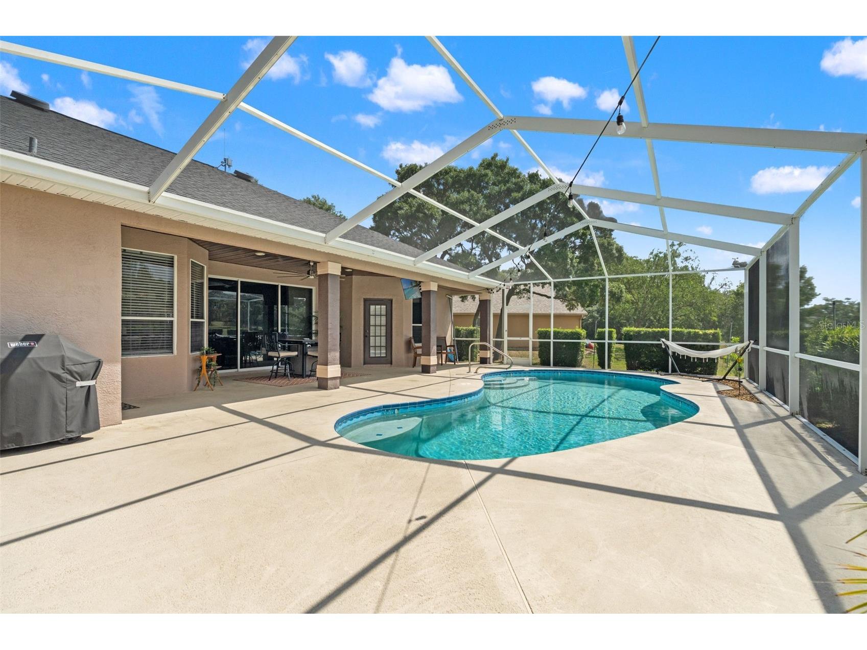 10327 Velvetseed Circle Spring Hill FL 34608 TB8507418 image49