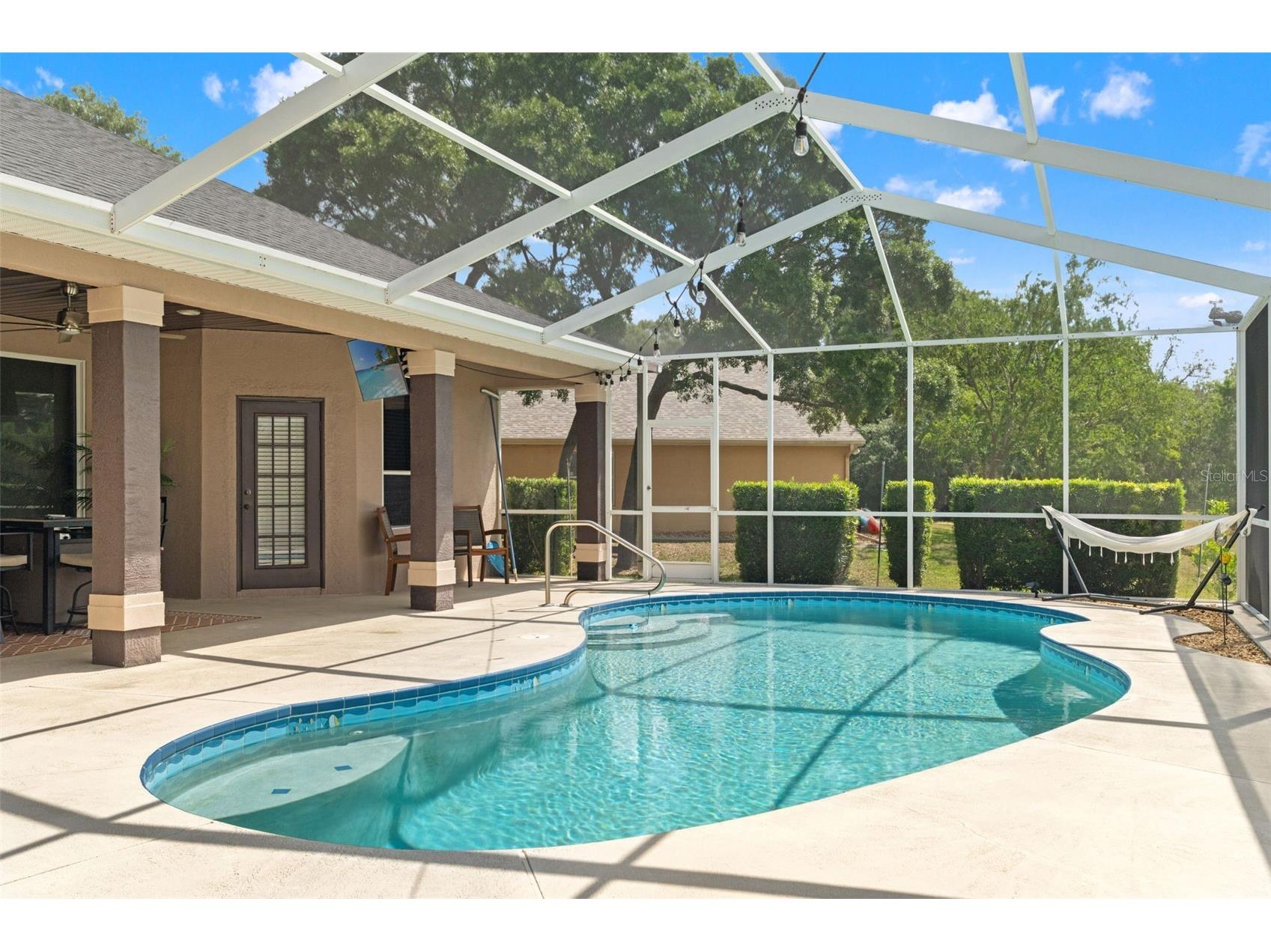 10327 Velvetseed Circle Spring Hill FL 34608 TB8507418 image50