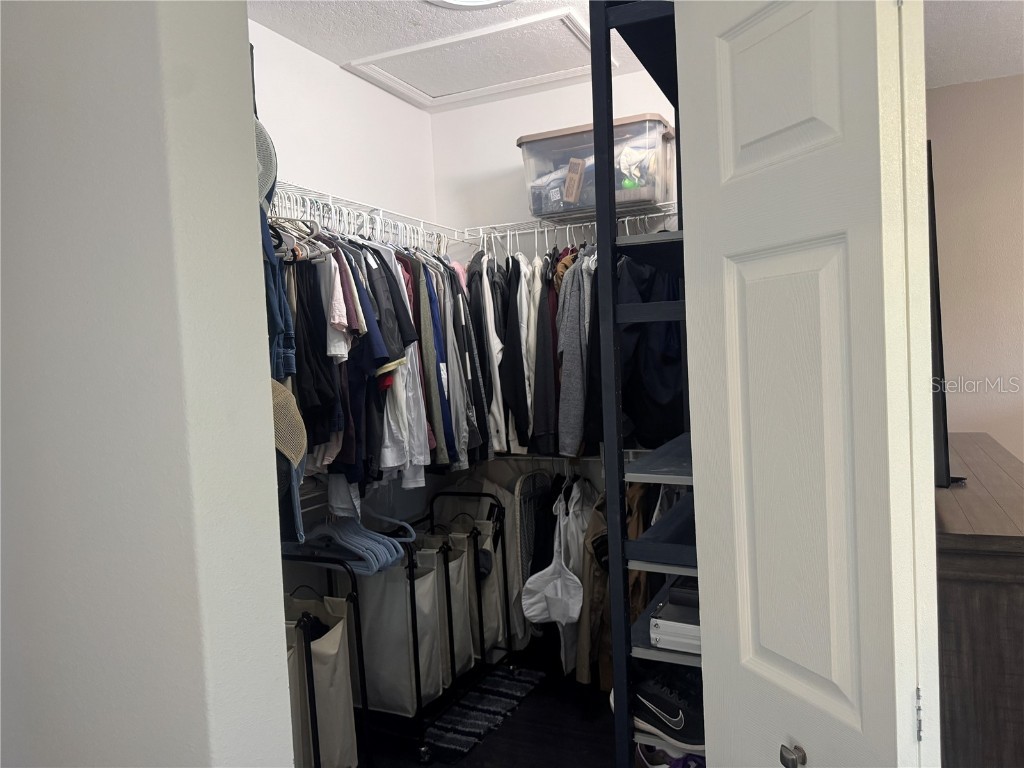 10327 Willow Leaf Trail Tampa FL 33625 TB8446216 image33