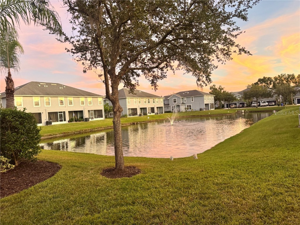 10327 Willow Leaf Trail Tampa FL 33625 TB8446216 image41