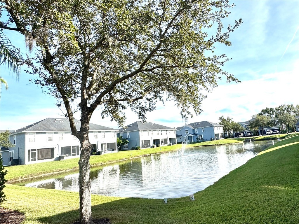 10327 Willow Leaf Trail Tampa FL 33625 TB8446216 image9
