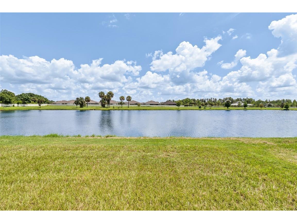 10328 Hawks Landing Drive Land O Lakes FL 34638 TB8420798 image32