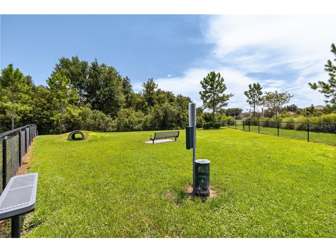 10328 Hawks Landing Drive Land O Lakes FL 34638 TB8420798 image36