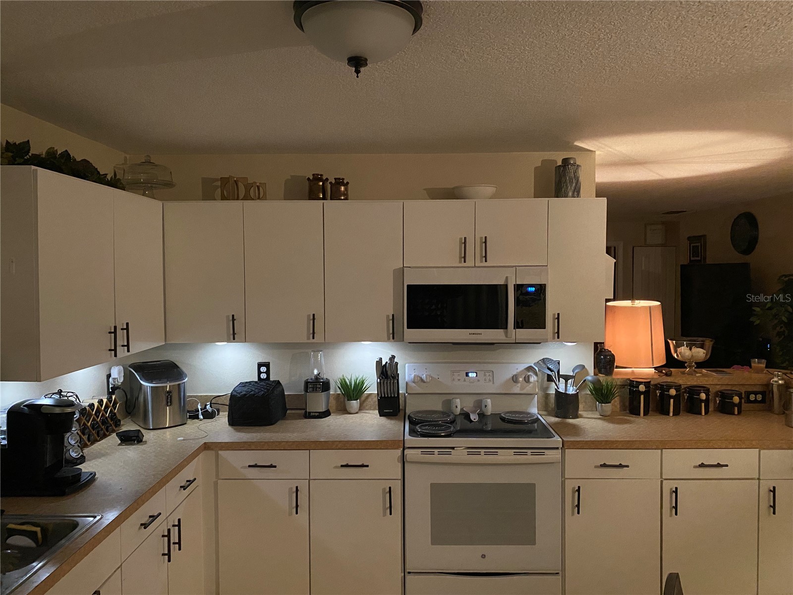 10328 Summerview Circle Riverview FL 33578 TB8510445 image10