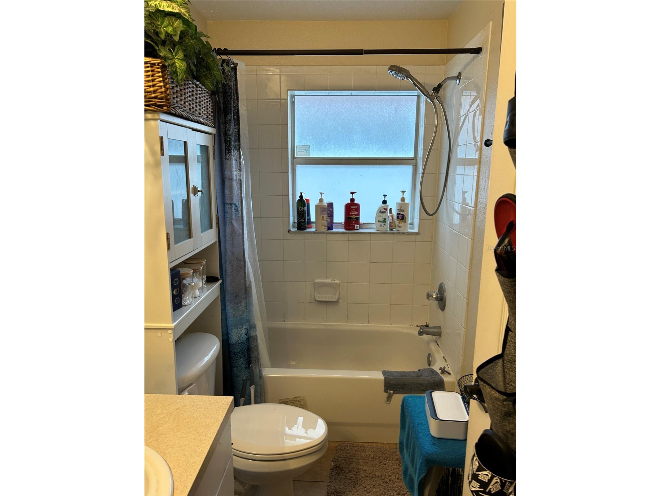 10328 Summerview Circle Riverview FL 33578 TB8510445 image17
