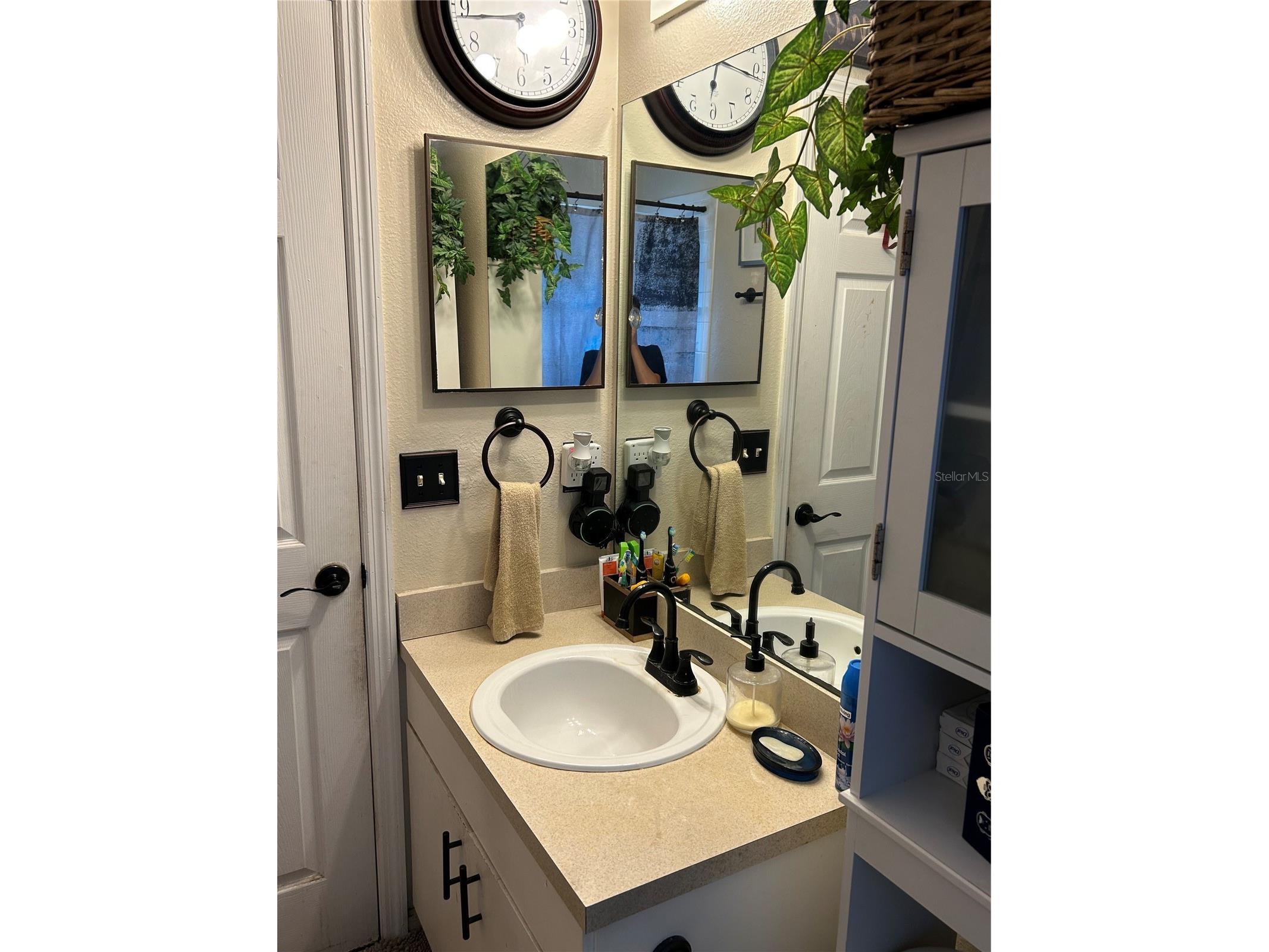10328 Summerview Circle Riverview FL 33578 TB8510445 image18