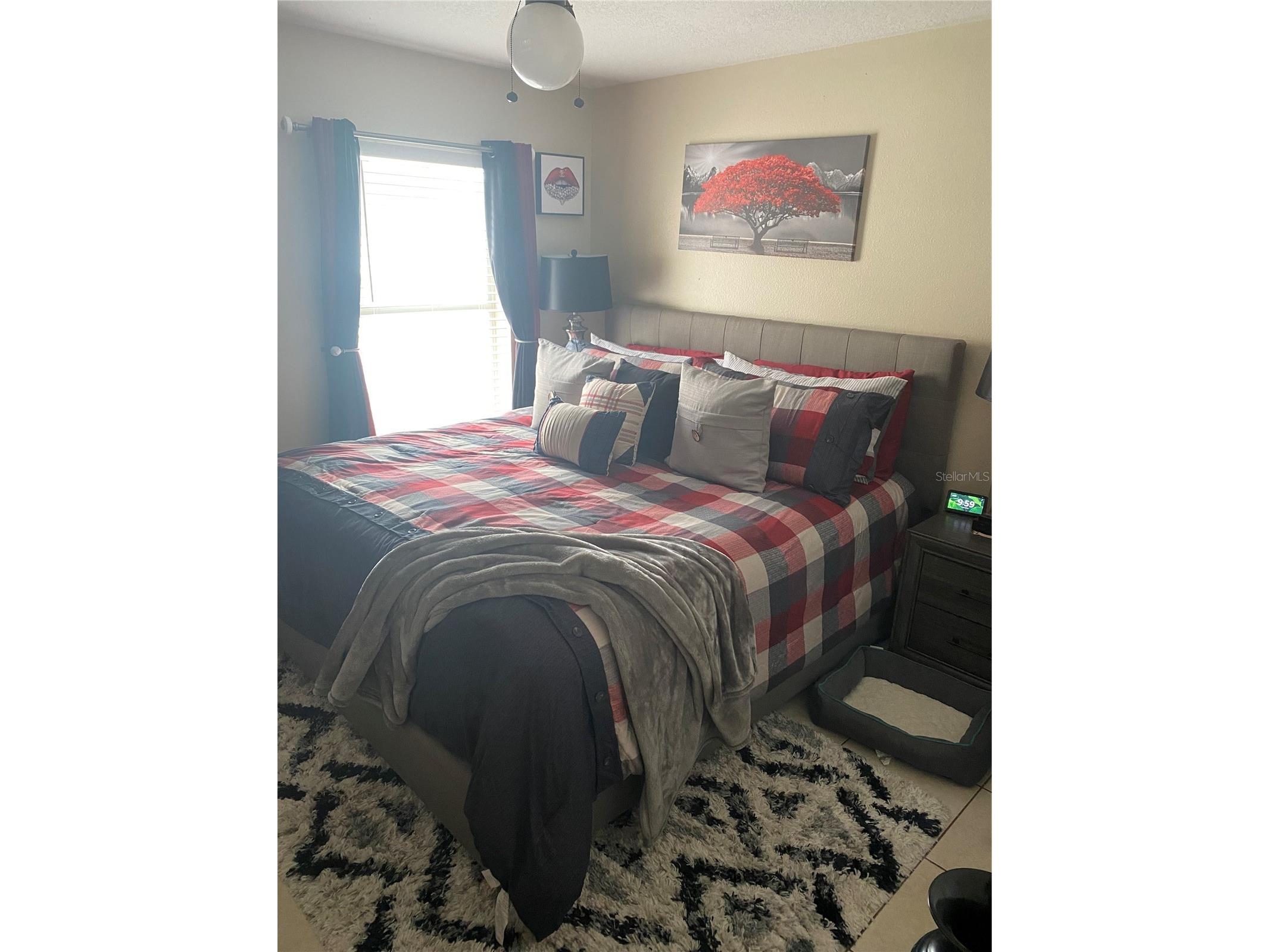 10328 Summerview Circle Riverview FL 33578 TB8510445 image19