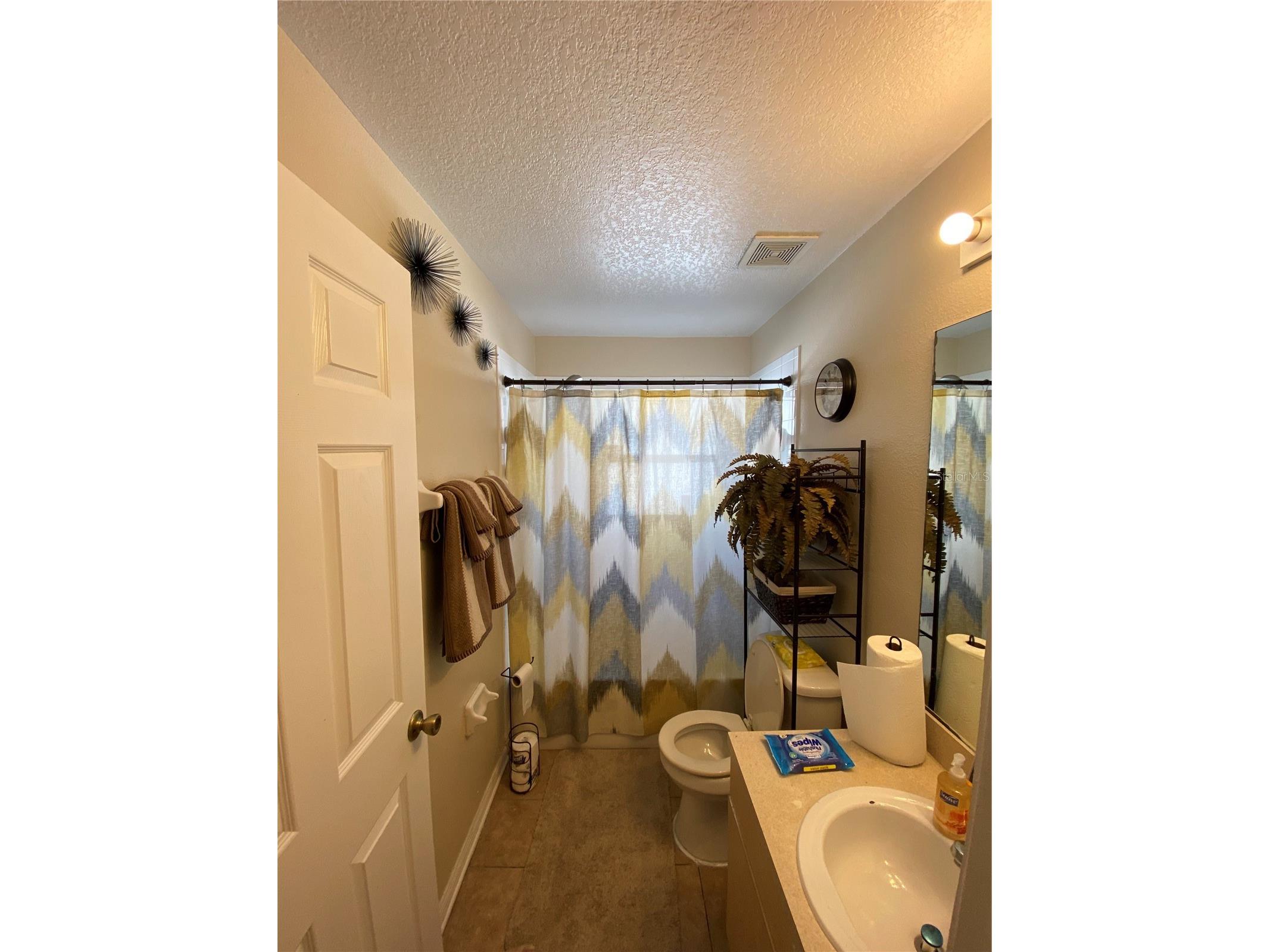 10328 Summerview Circle Riverview FL 33578 TB8510445 image21