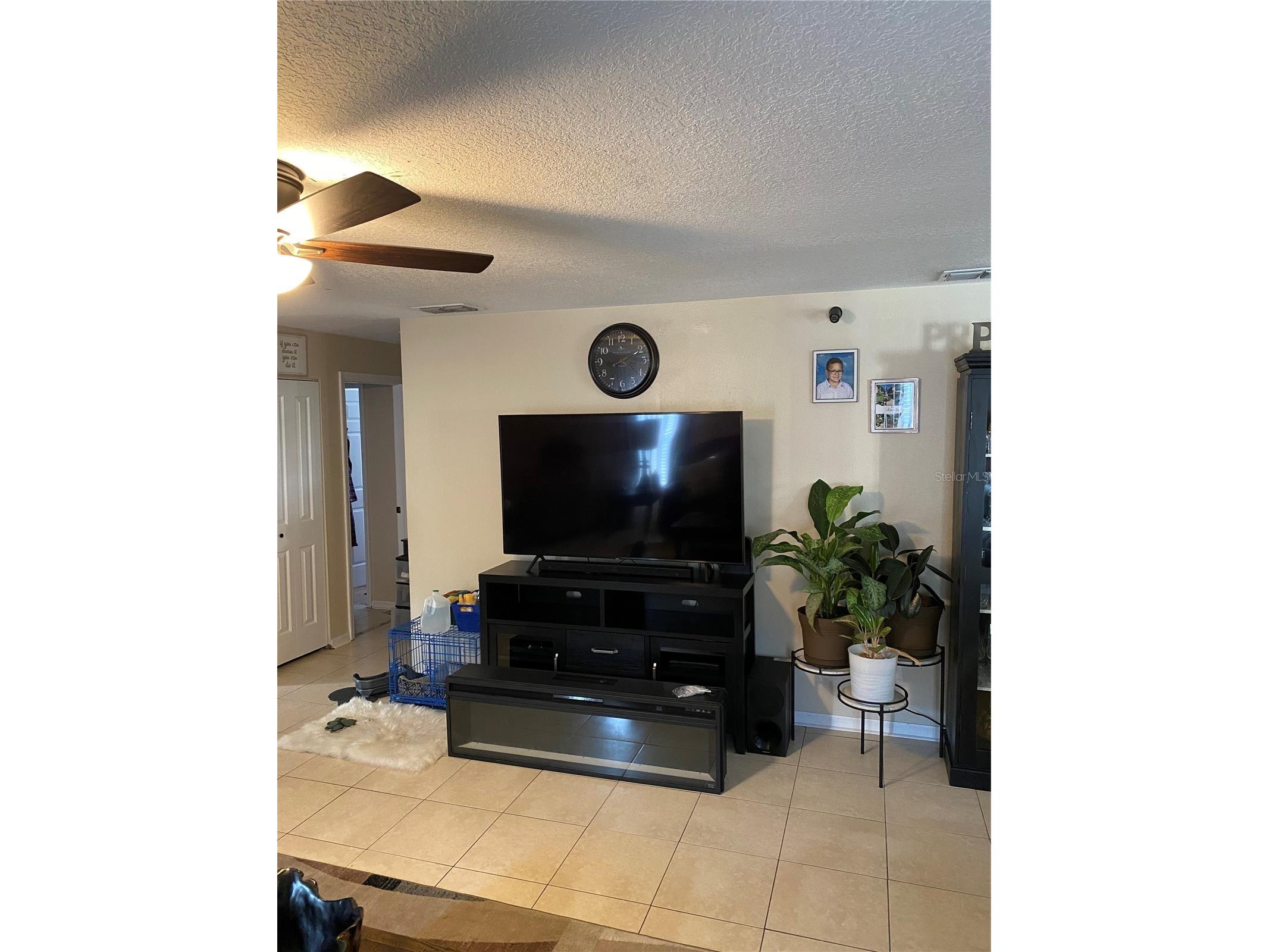 10328 Summerview Circle Riverview FL 33578 TB8510445 image26