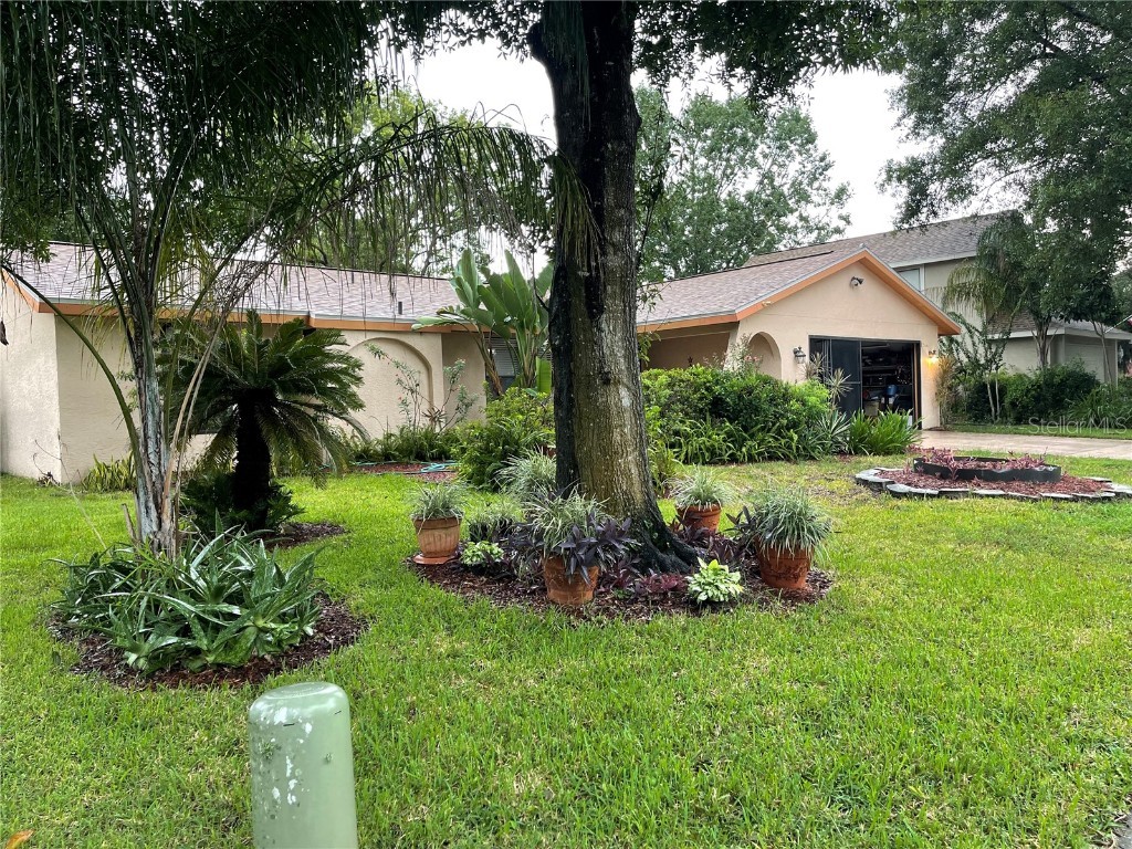 10328 Turkey Oak Drive New Port Richey FL 34654 T3467002 image1
