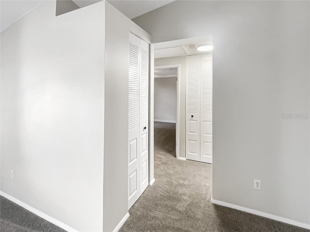 10328 Turkey Oak Drive New Port Richey FL 34654 TB8455080 image14