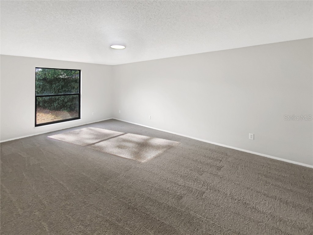 10328 Turkey Oak Drive New Port Richey FL 34654 TB8455080 image20