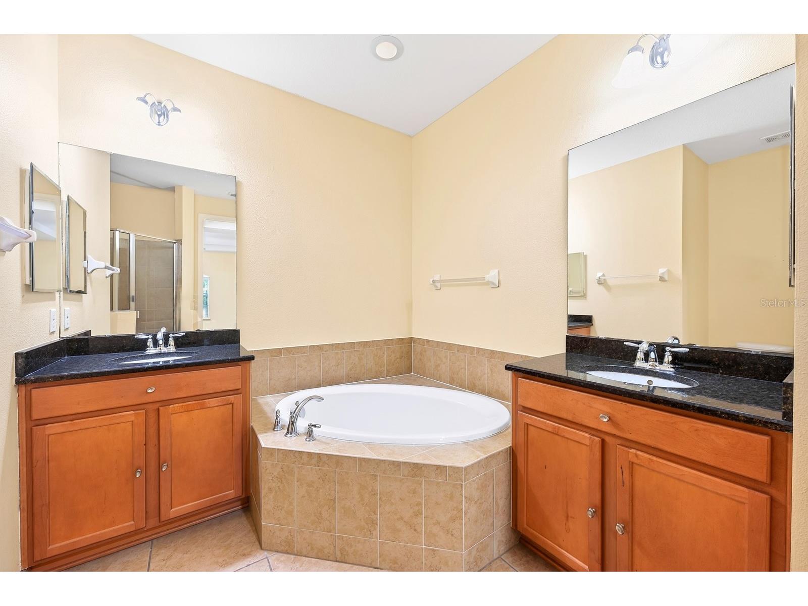 10329 Belfry Circle Orlando FL 32832 O6405039 image12