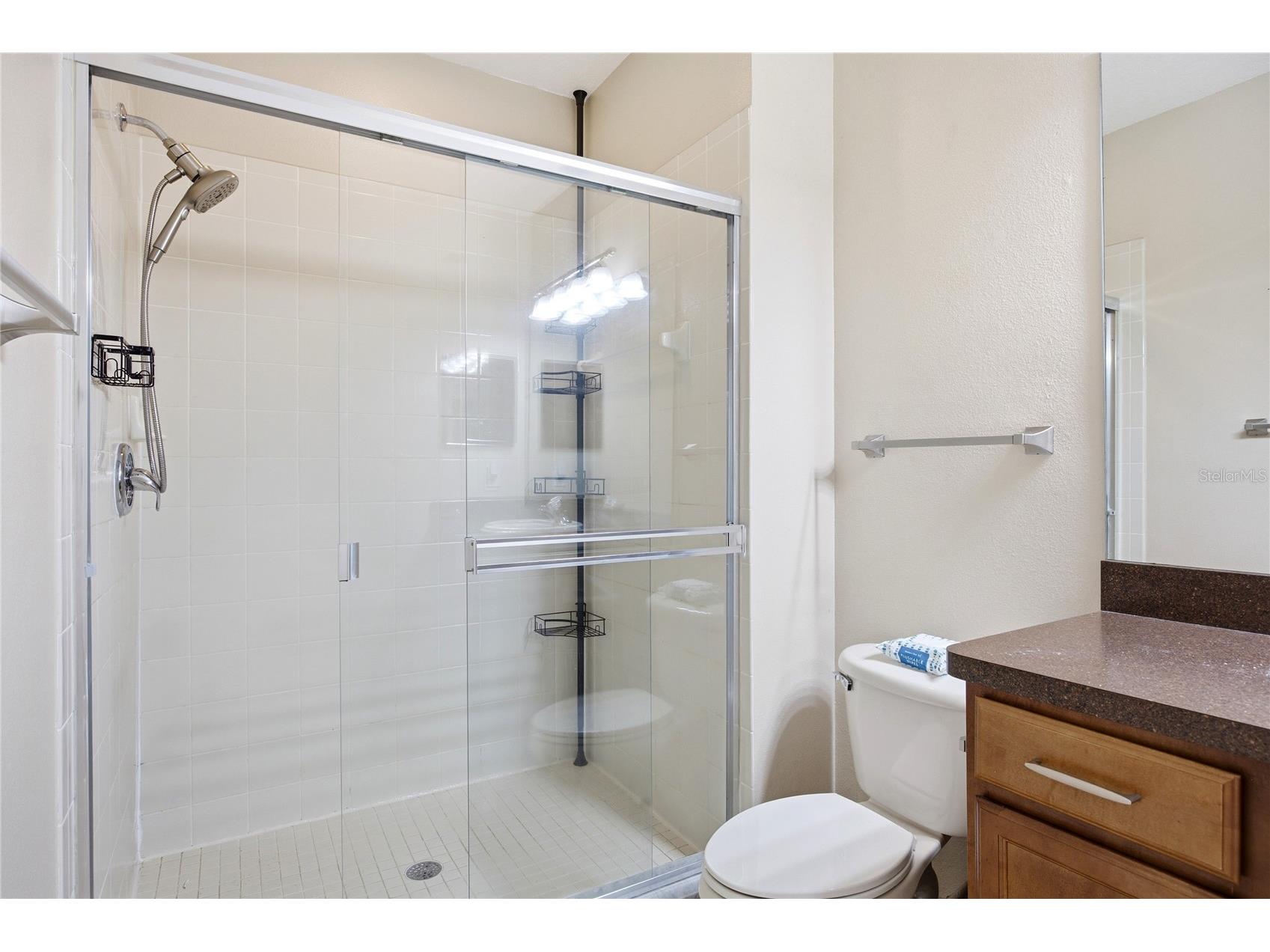 1033 Blackwater Drive Wesley Chapel FL 33543 TB8505096 image23