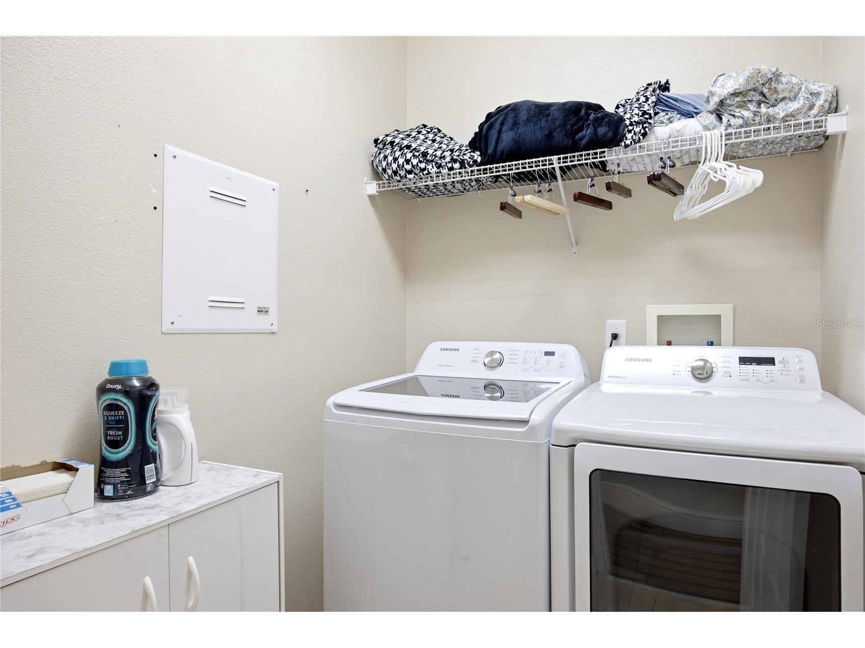 1033 Blackwater Drive Wesley Chapel FL 33543 TB8505096 image25