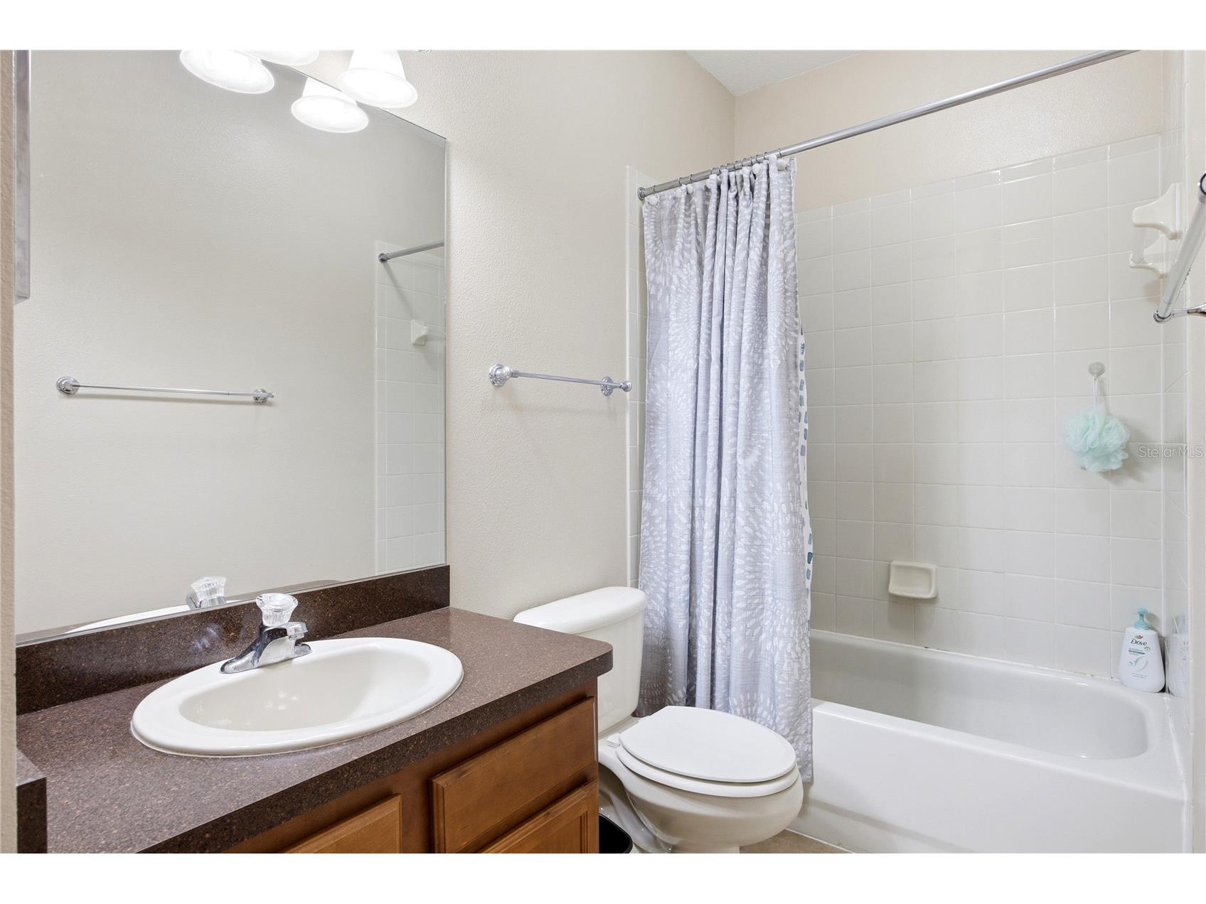 1033 Blackwater Drive Wesley Chapel FL 33543 TB8505096 image30