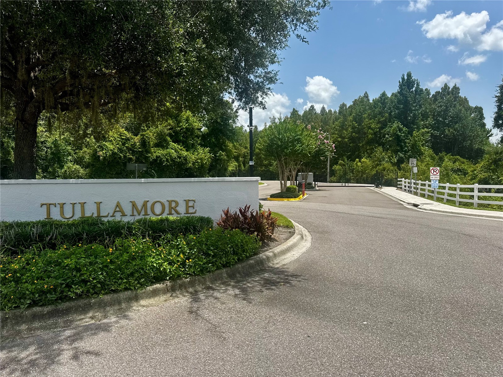 1033 Blackwater Drive Wesley Chapel FL 33543 TB8505096 image41