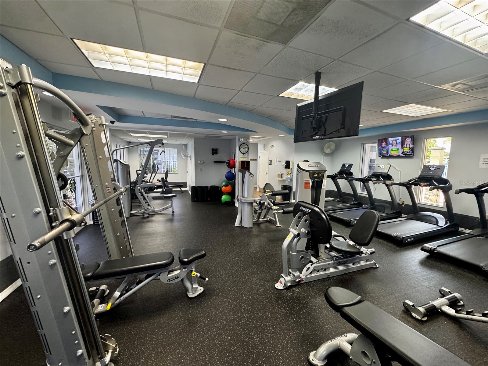 1033 Blackwater Drive Wesley Chapel FL 33543 TB8505096 image42