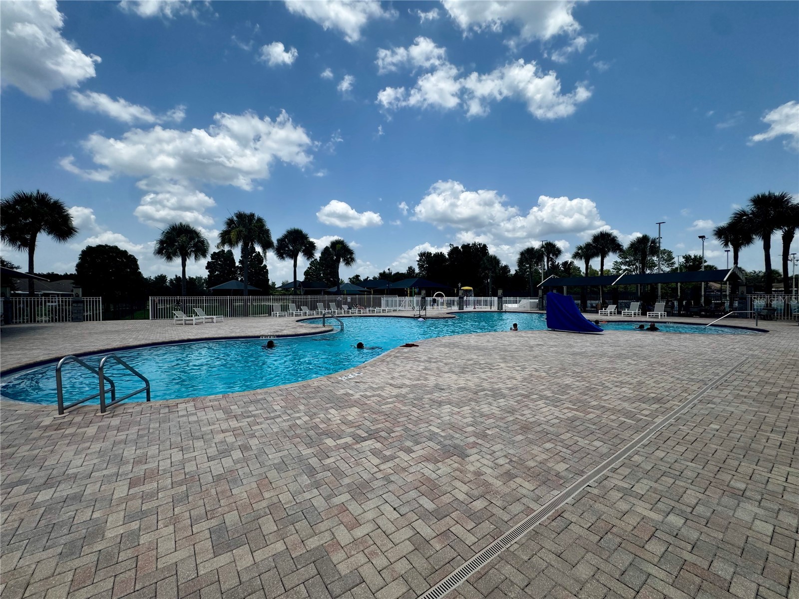 1033 Blackwater Drive Wesley Chapel FL 33543 TB8505096 image45