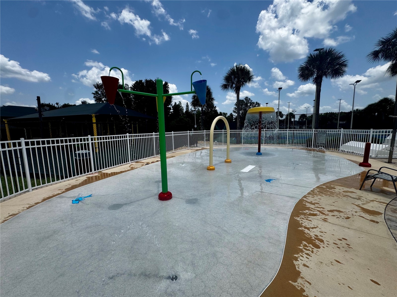 1033 Blackwater Drive Wesley Chapel FL 33543 TB8505096 image47