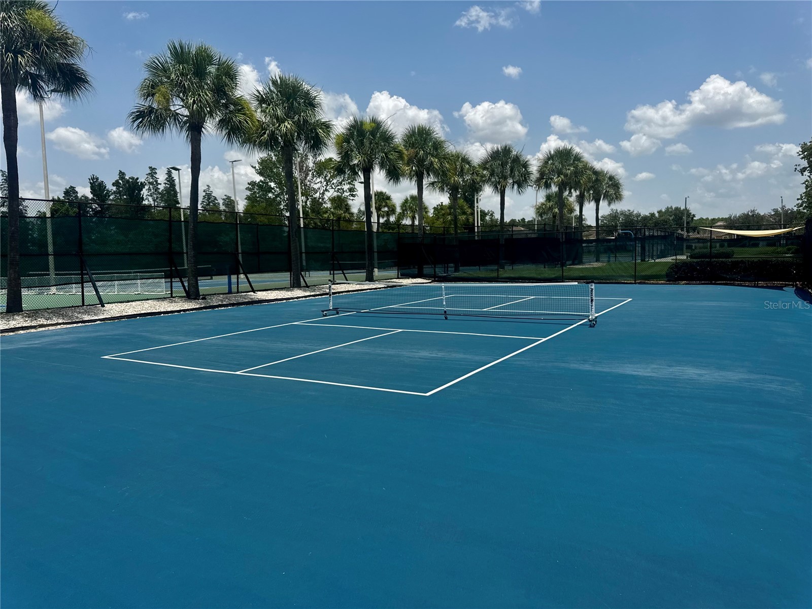 1033 Blackwater Drive Wesley Chapel FL 33543 TB8505096 image48