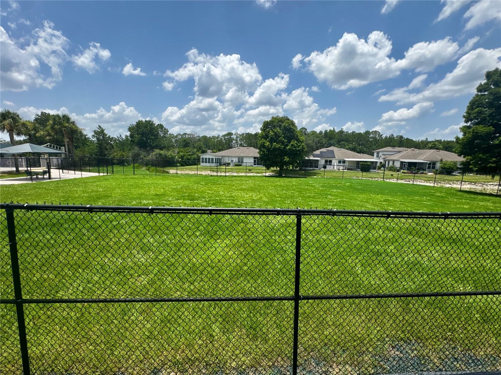 1033 Blackwater Drive Wesley Chapel FL 33543 TB8505096 image52