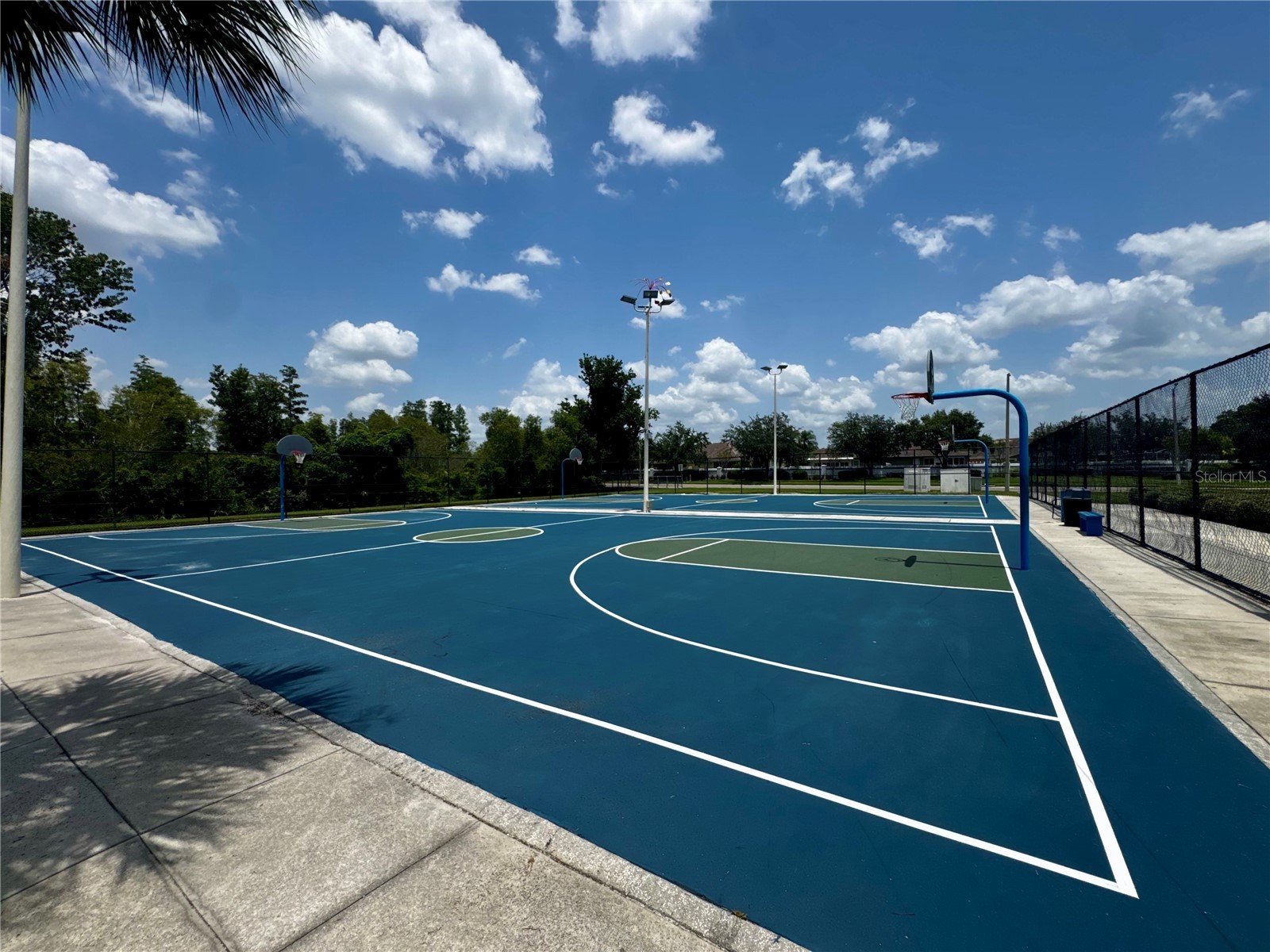 1033 Blackwater Drive Wesley Chapel FL 33543 TB8505096 image54