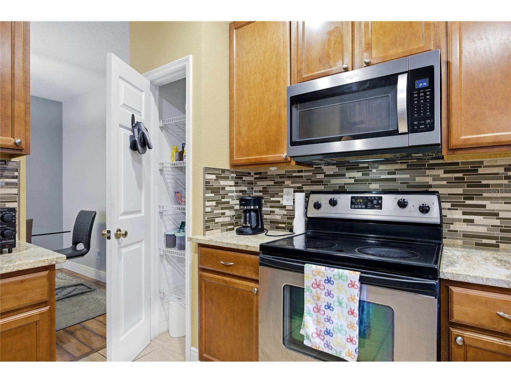 1033 Blackwater Drive Wesley Chapel FL 33543 TB8505096 image8