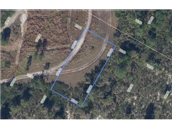 1033 Cleveland Avenue Lake Placid FL 33852 P4932386 image1