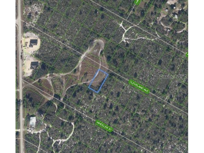 1033 Cleveland Avenue Lake Placid FL 33852 P4932386 image2