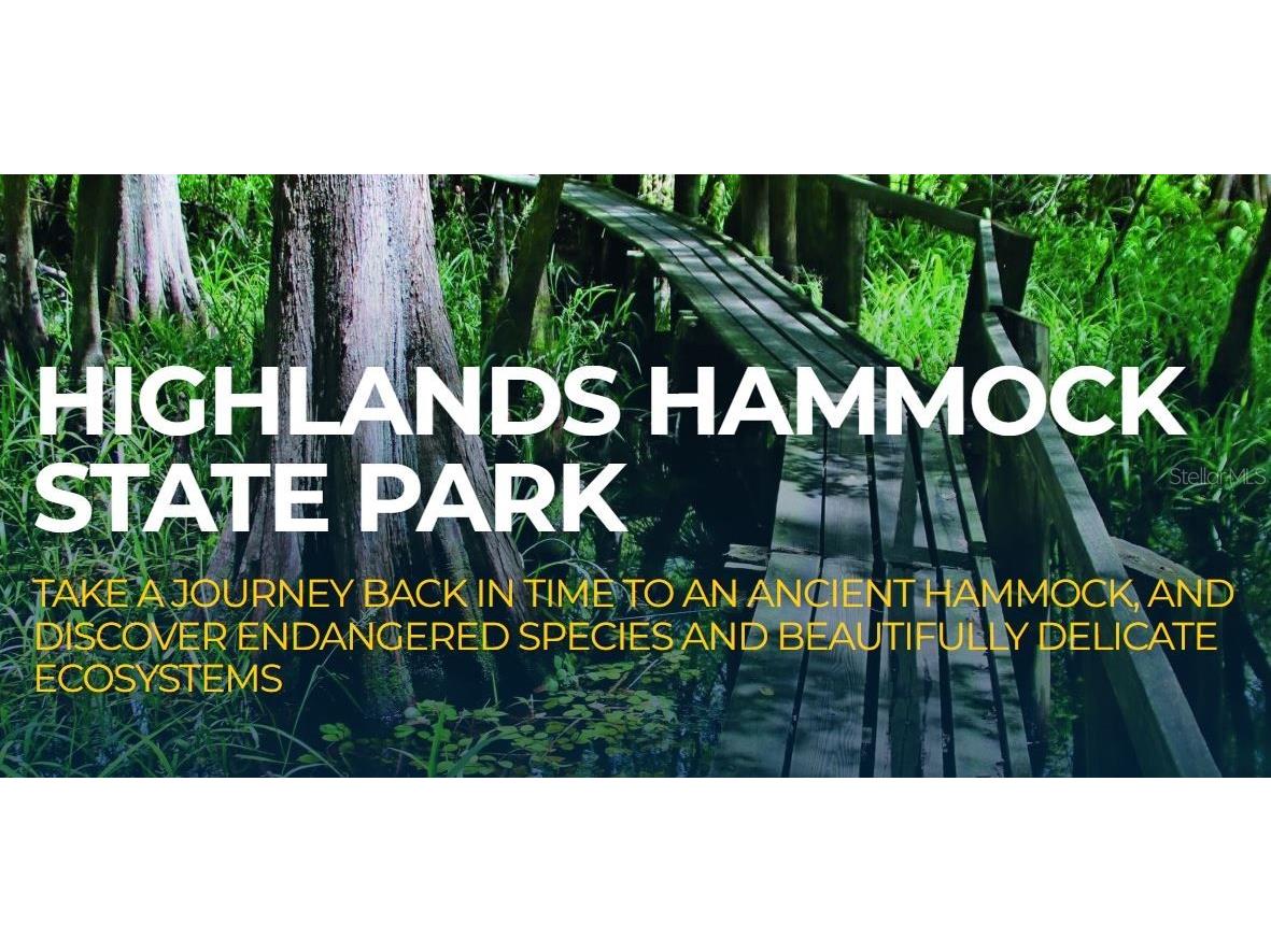 1033 Cleveland Avenue Lake Placid FL 33852 P4932386 image8