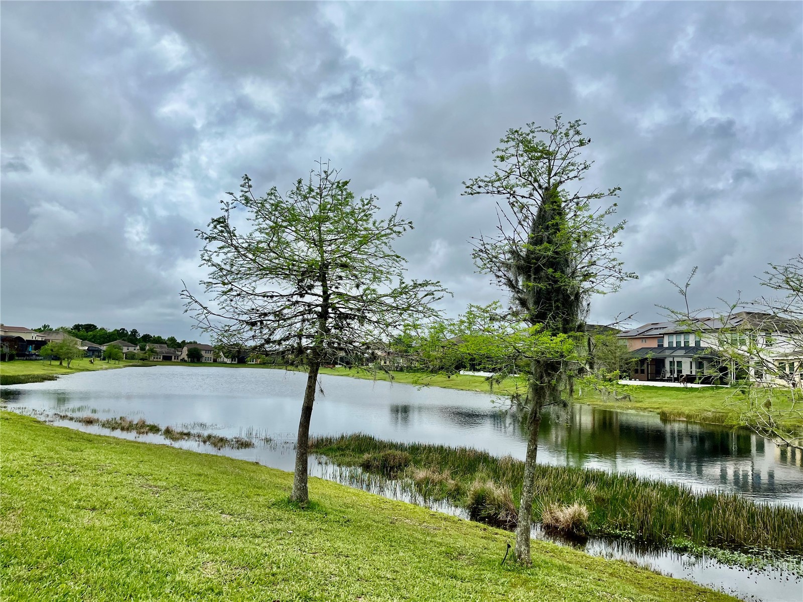 1033 Fountain Coin Loop Orlando FL 32828 O6398999 image42