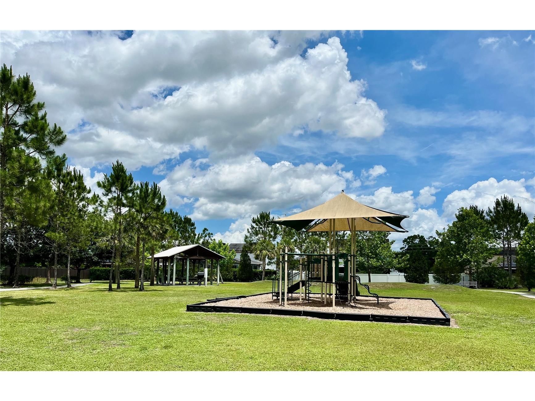 1033 Fountain Coin Loop Orlando FL 32828 O6398999 image45