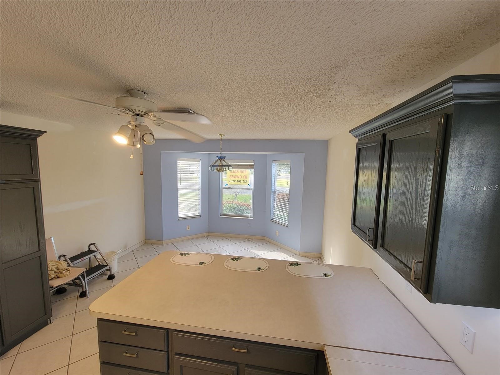 1033 Oak Forest Drive The Villages FL 32162 G5112779 image6