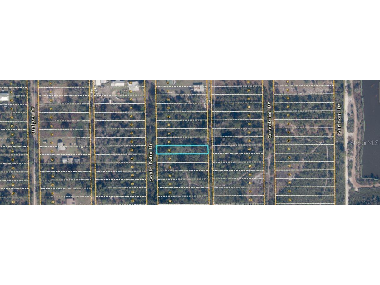 1033 Sable Palm Drive Christmas FL 32709 O6414481 image3