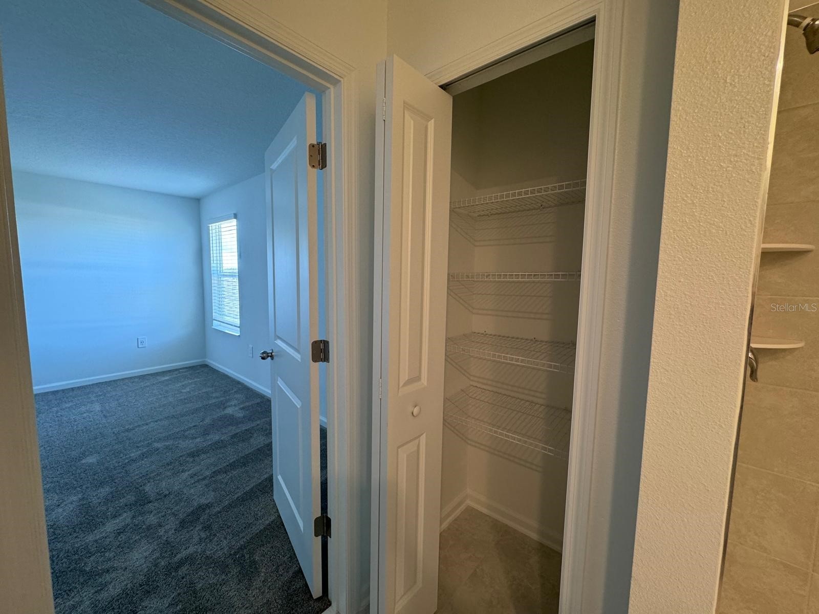 1033 Waterfall Boulevard Davenport FL 33837 O6411612 image22