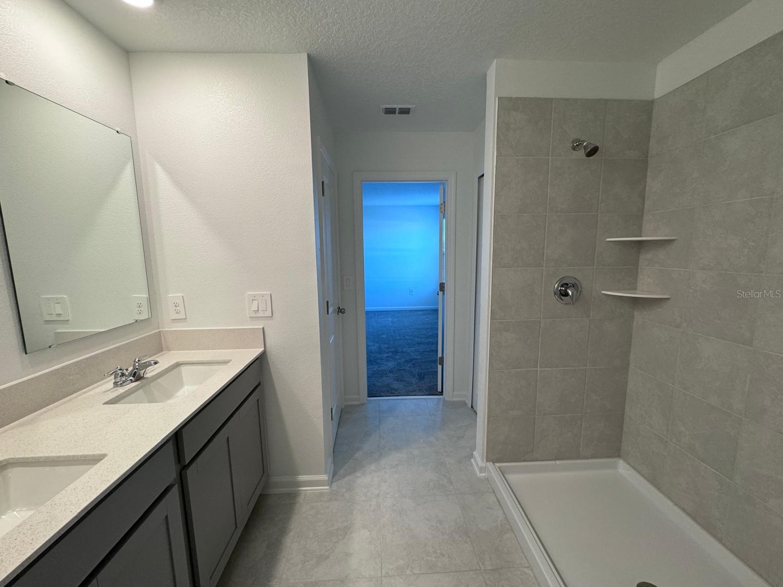 1033 Waterfall Boulevard Davenport FL 33837 O6411612 image27