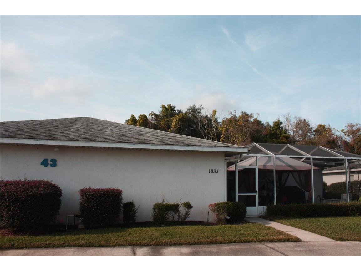 1033 Willow Drive Leesburg FL 34748 O6095888 image1