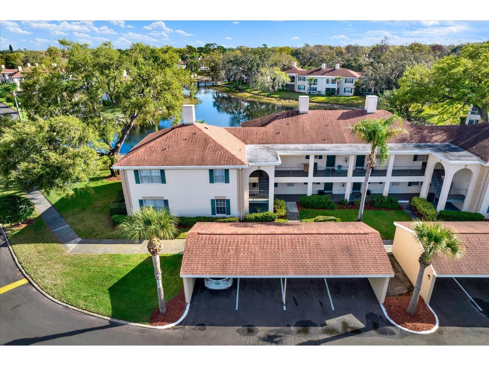 10330 Carrollwood Lane #95 Tampa FL 33618 TB8477954 image1