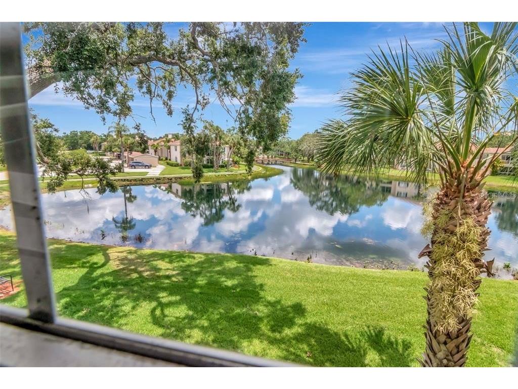 10330 Carrollwood Lane #95 Tampa FL 33618 TB8477954 image33