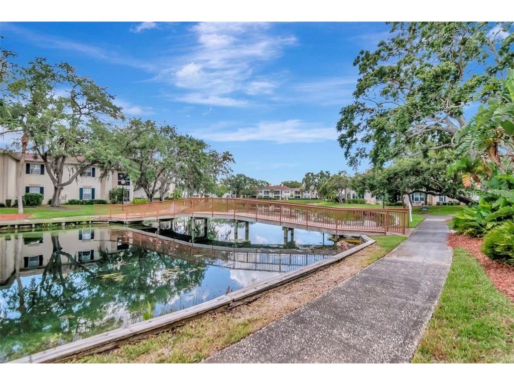 10330 Carrollwood Lane #95 Tampa FL 33618 TB8477954 image43