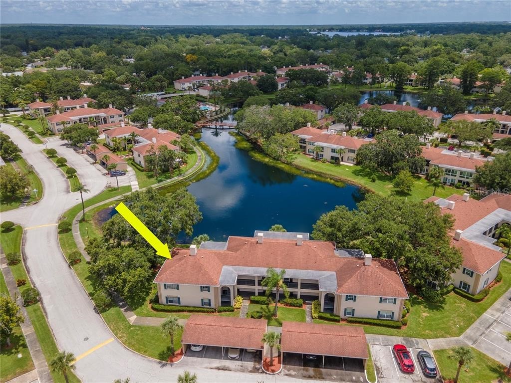 10330 Carrollwood Lane #95 Tampa FL 33618 TB8477954 image60