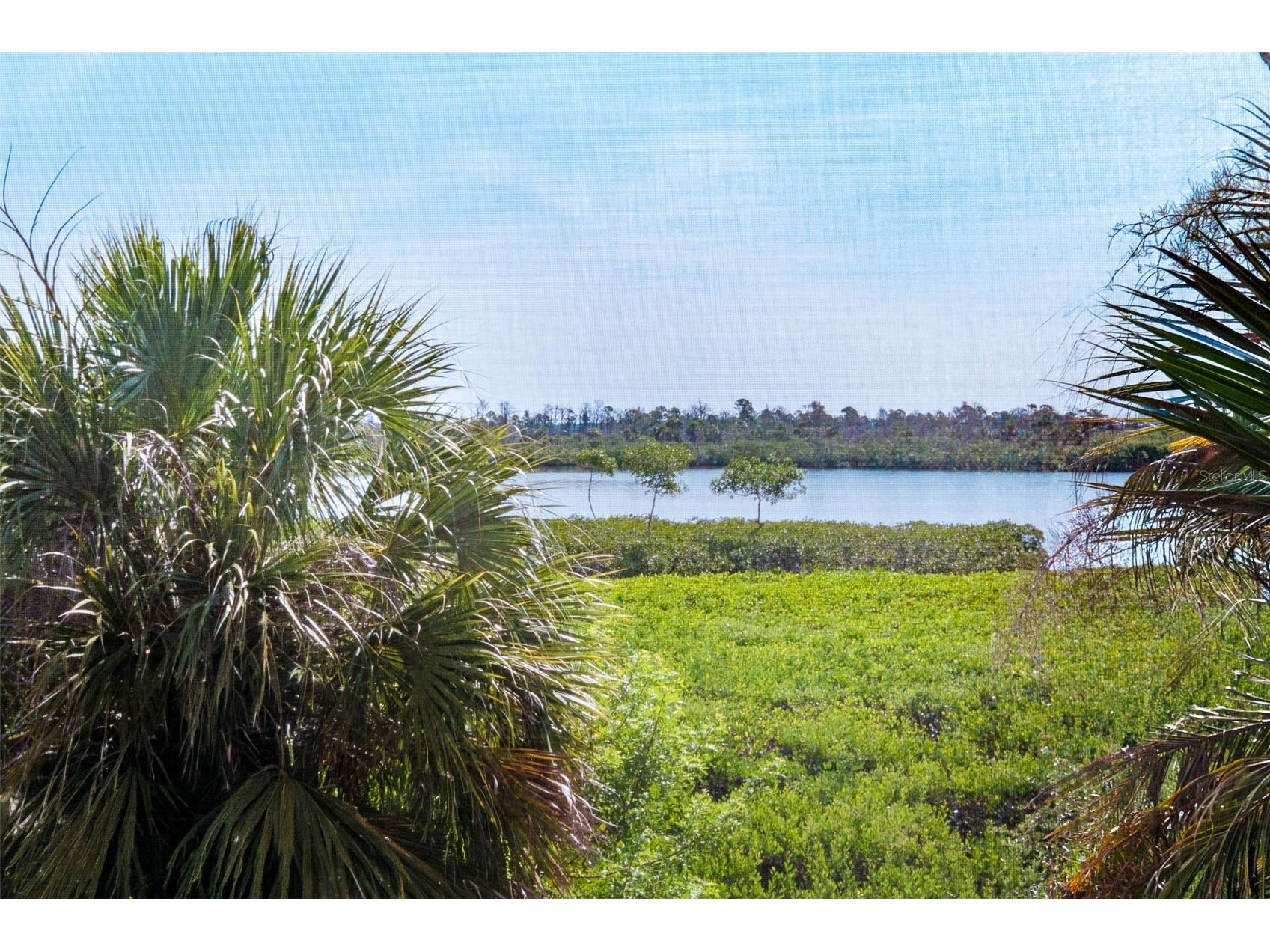 10330 Longshore Road #51 Placida FL 33946 - CORAL CREEK D6147960 image17