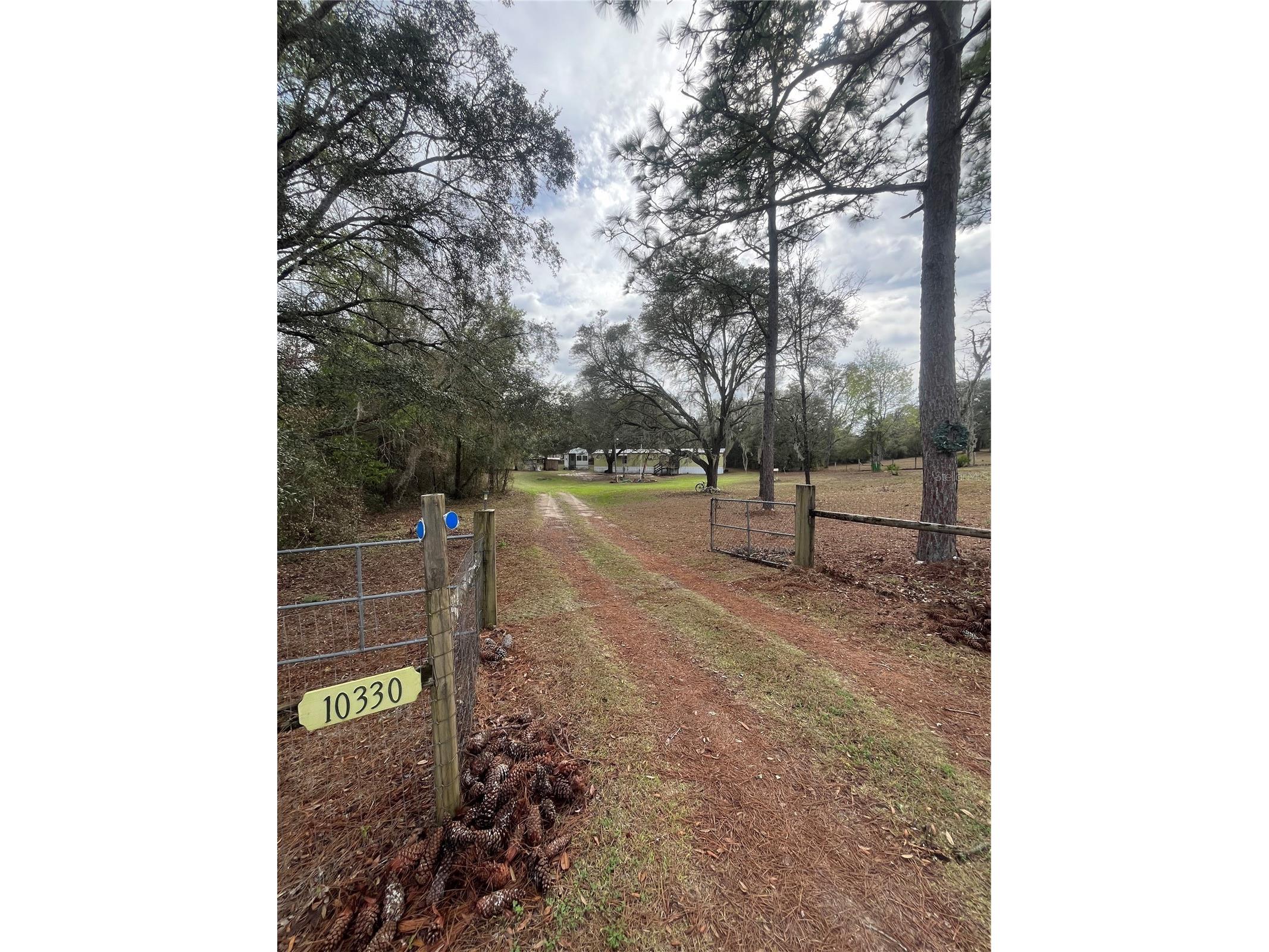 10330 NE 90th Street Bronson FL 32621 GC538390 image2