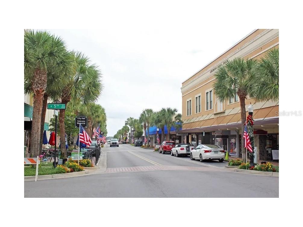 10330 Pleasant View Dr. Leesburg FL 34788 O6384571 image61