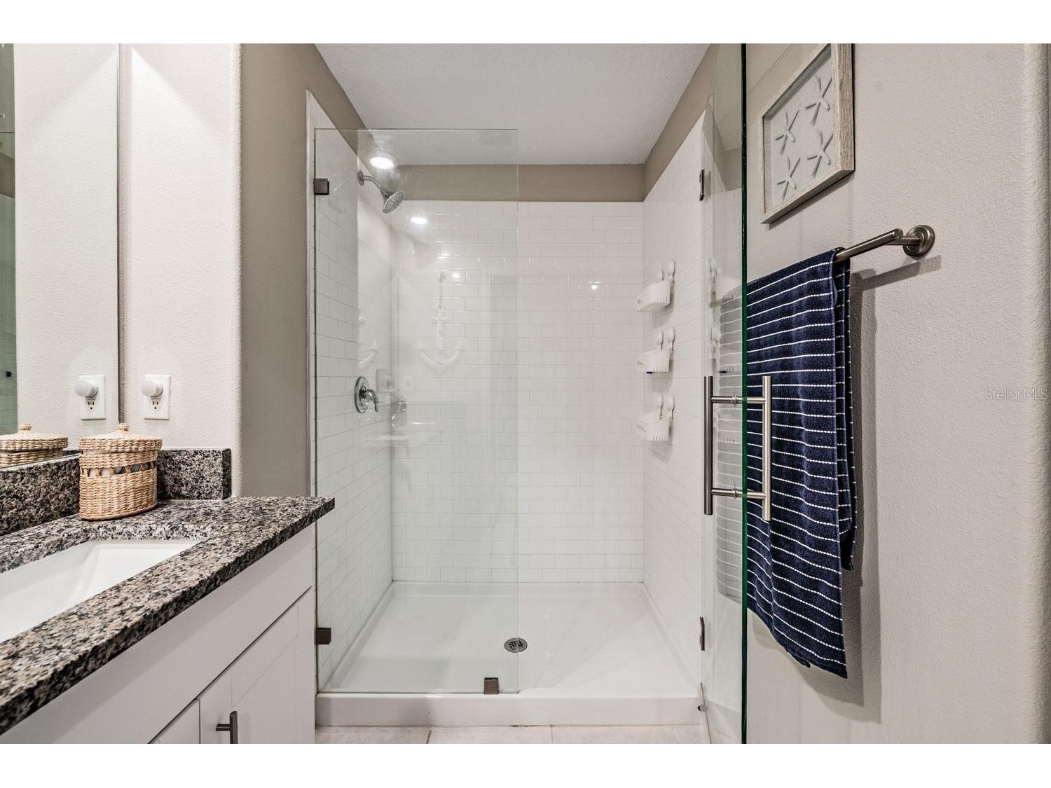 10331 Blue Plume Court Riverview FL 33578 TB8503177 image21