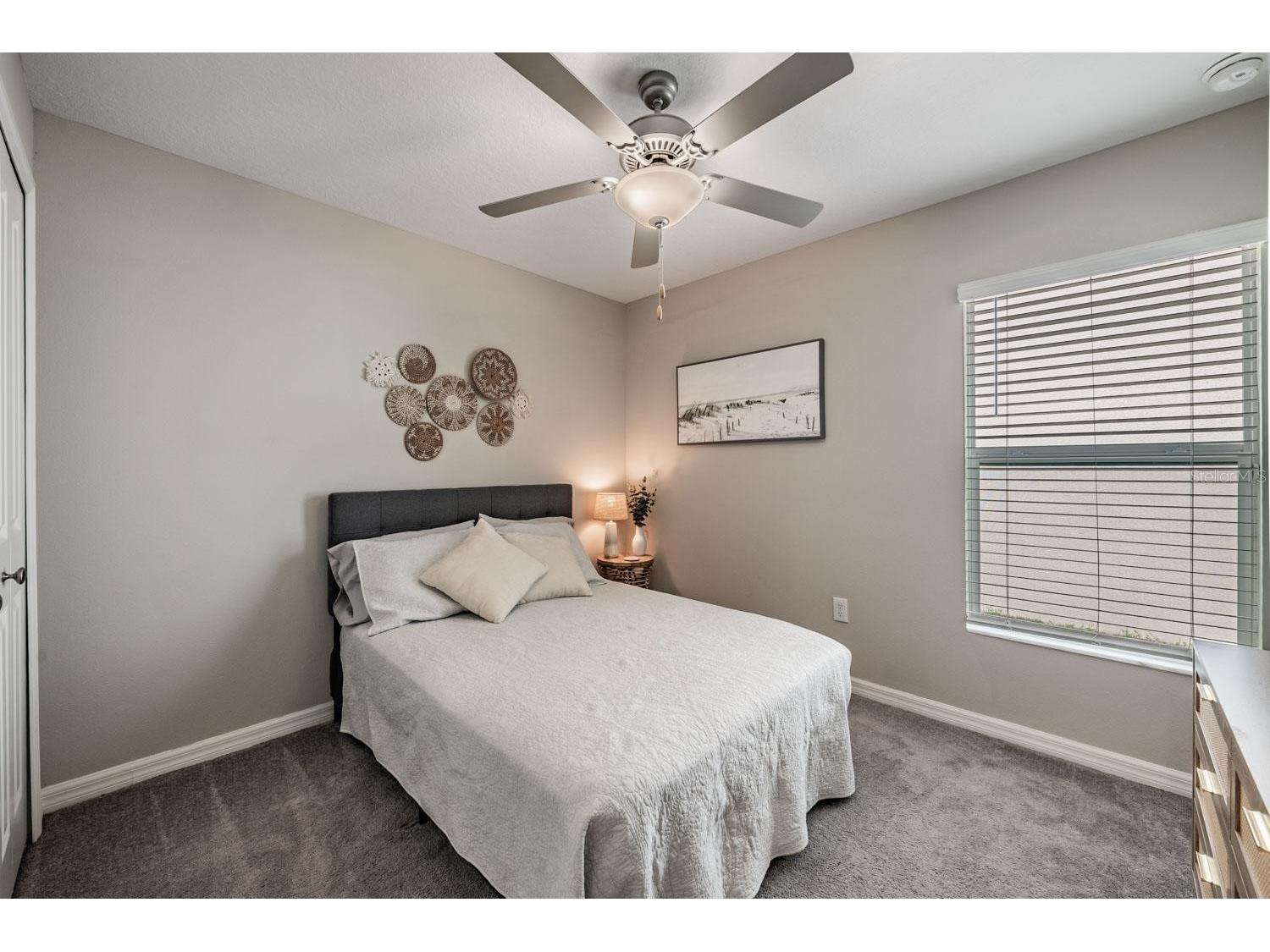10331 Blue Plume Court Riverview FL 33578 TB8503177 image22