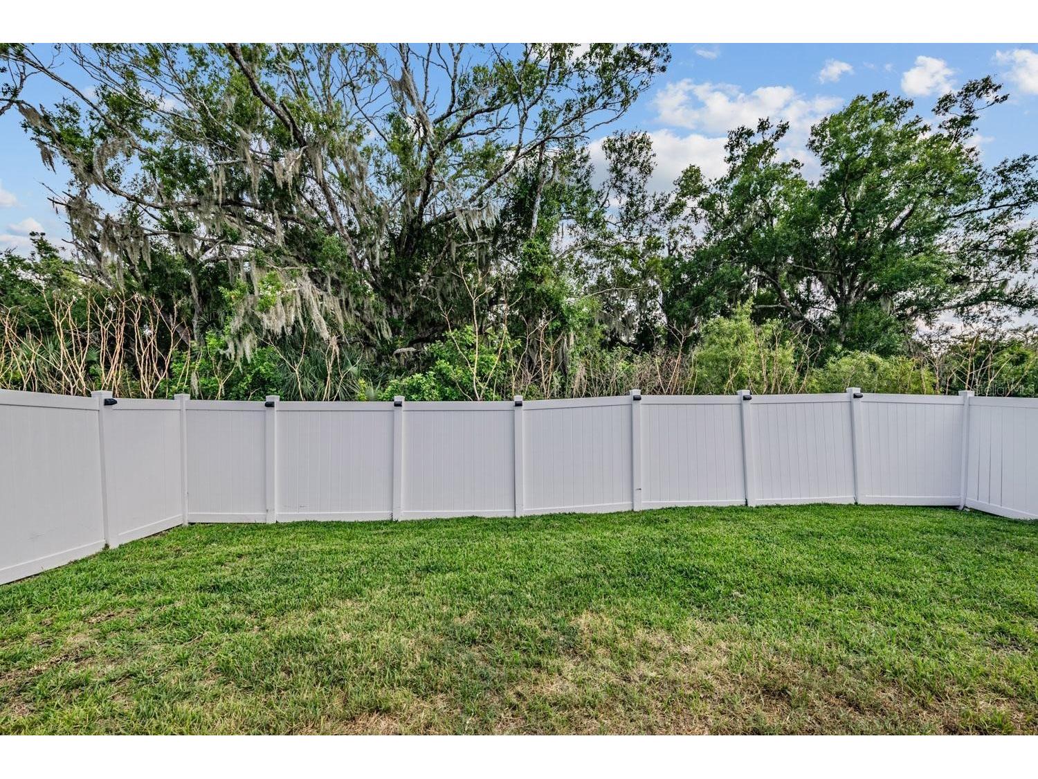 10331 Blue Plume Court Riverview FL 33578 TB8503177 image30