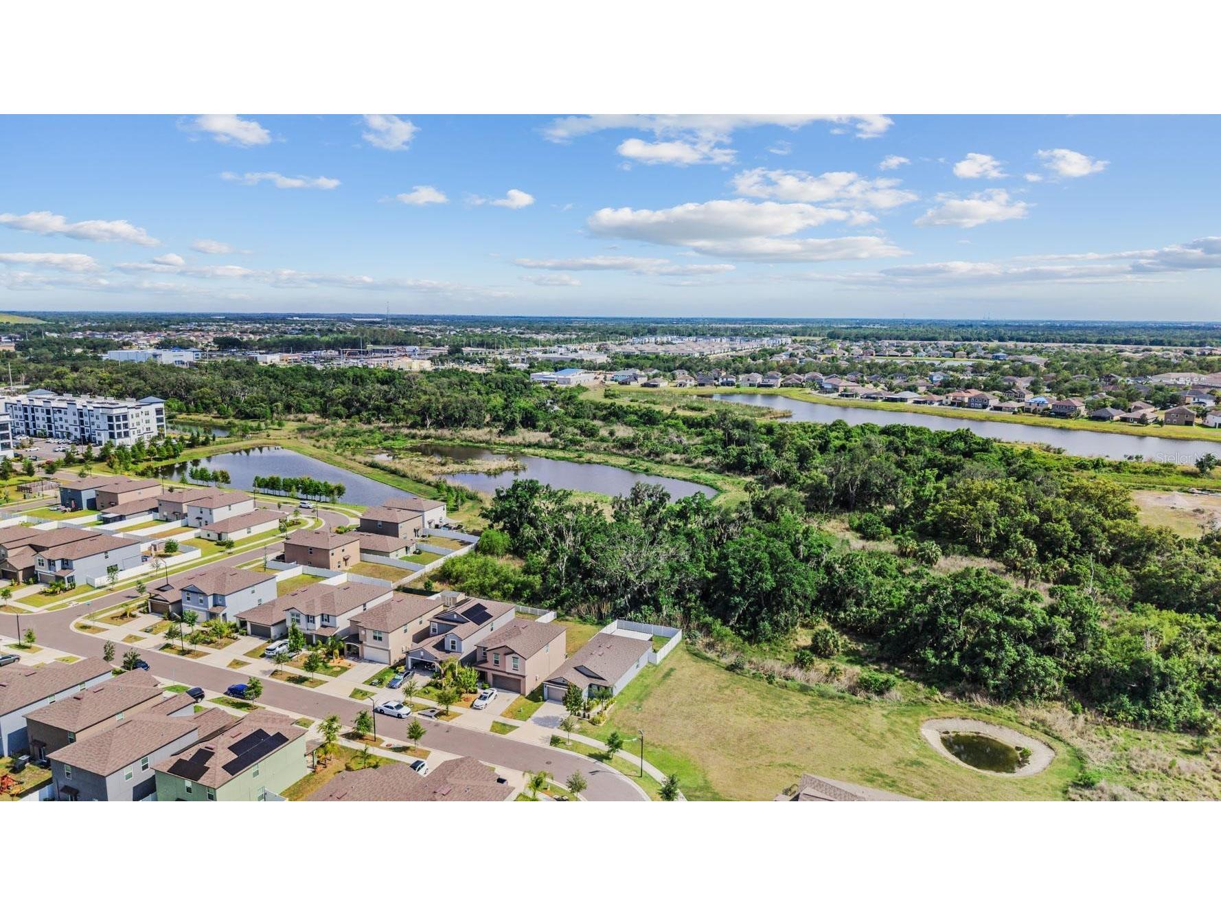 10331 Blue Plume Court Riverview FL 33578 TB8503177 image35