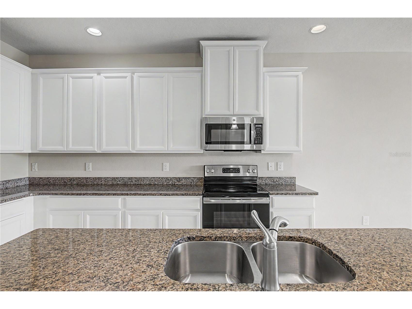 10331 Heron Hideaway Loop Land O Lakes FL 34638 TB8525892 image13